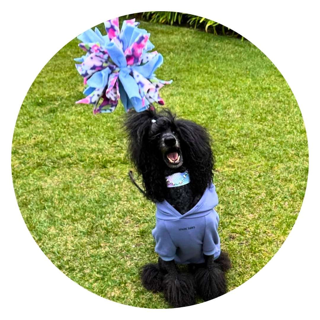 3-in-1 Bundle Enrichment Tube for Dogs - Tug Toy, Treat Dispenser & Snuffle Ball