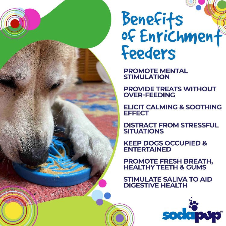 SodaPup Air Nylon eCoin Enrichment Toy for Dogs