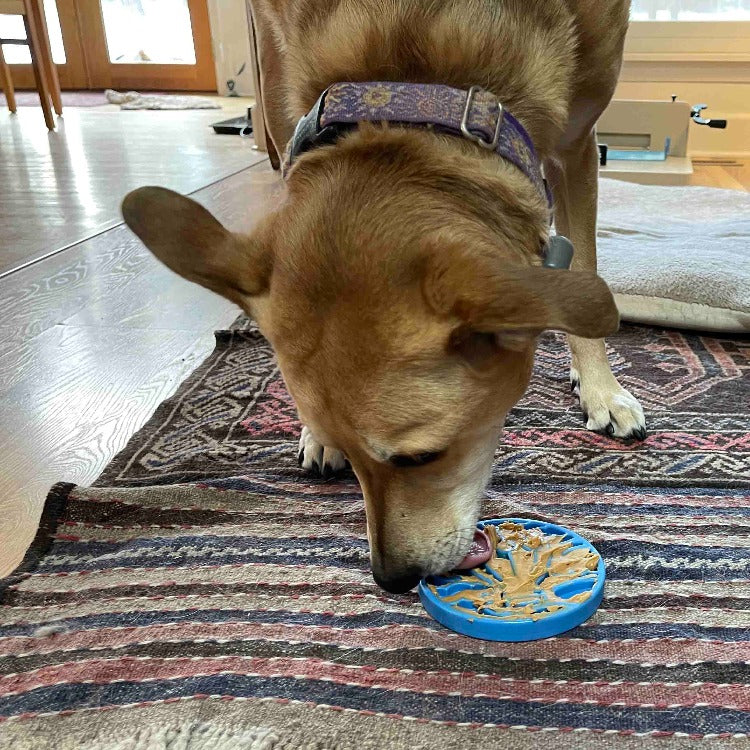 SodaPup Air Nylon eCoin Enrichment Toy for Dogs