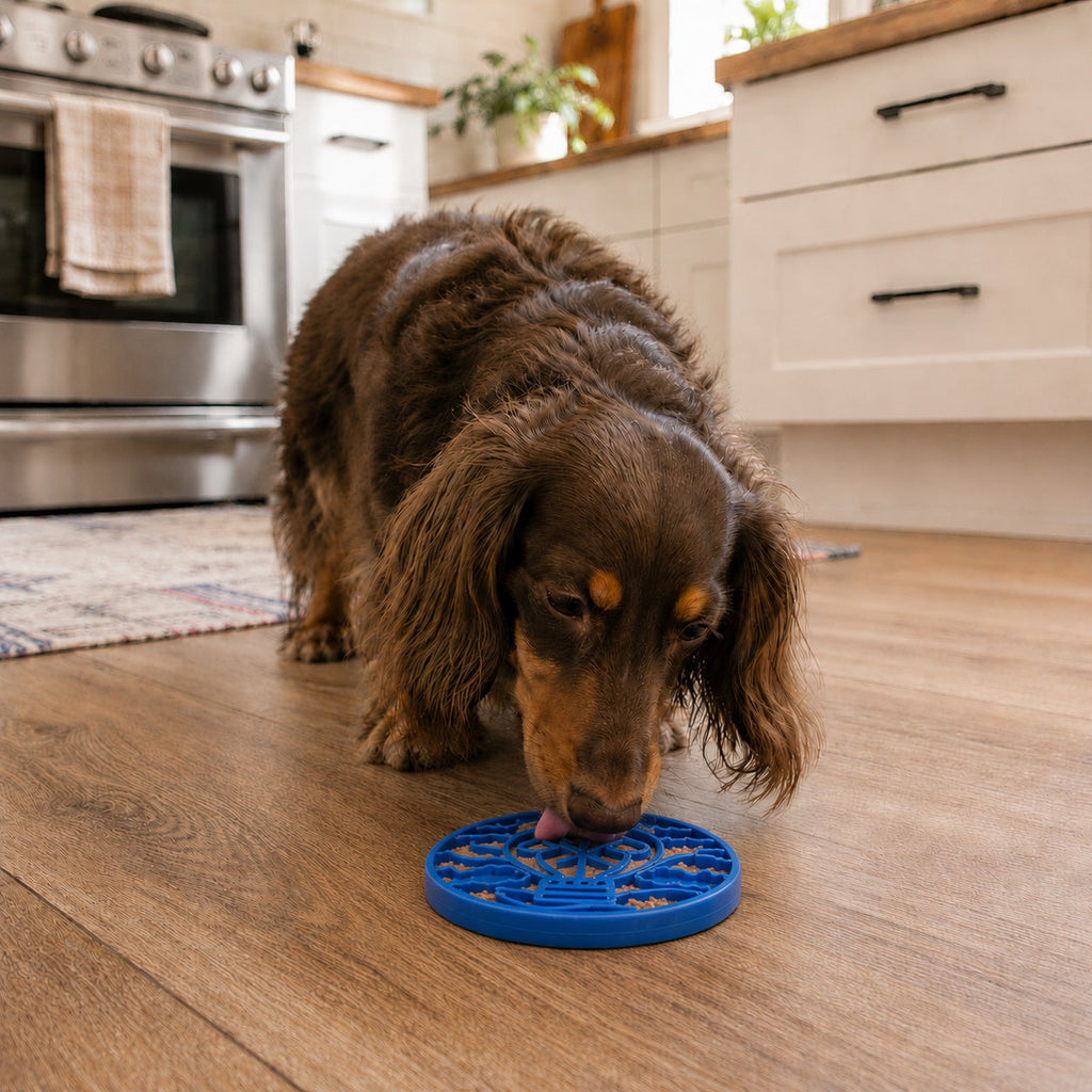 SodaPup Air Nylon eCoin Enrichment Toy for Dogs