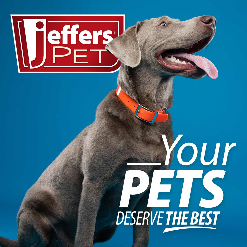 Jeffers Self-Cleaning Slicker Grooming Brush