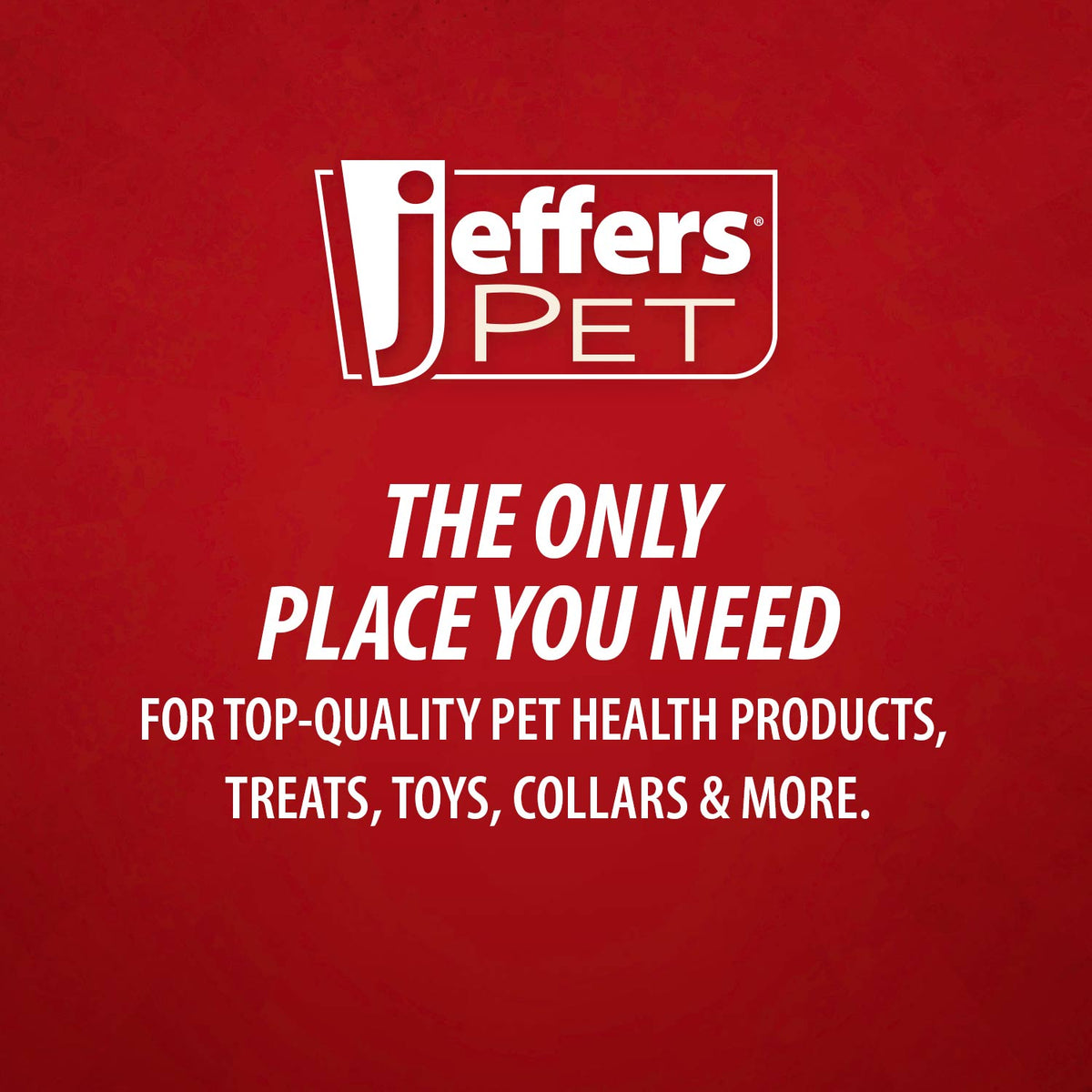 Jeffers Self-Cleaning Slicker Grooming Brush