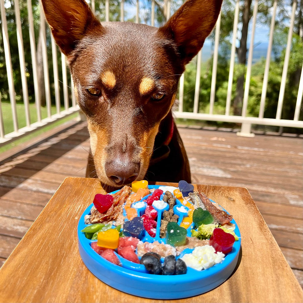 SodaPup Air Nylon eCoin Enrichment Toy for Dogs