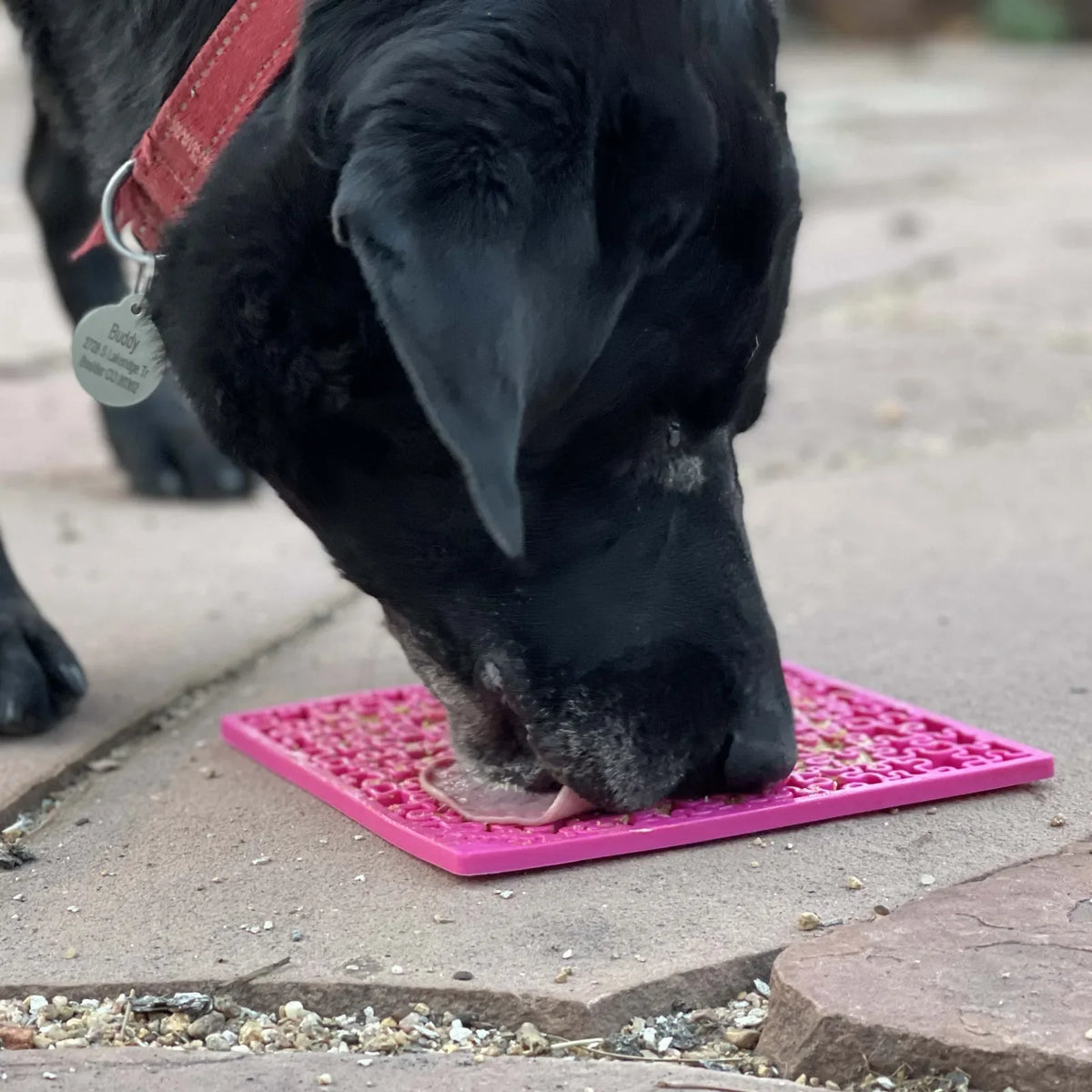 SodaPup Jigsaw Puzzle Lick Mat for Dogs & Cats