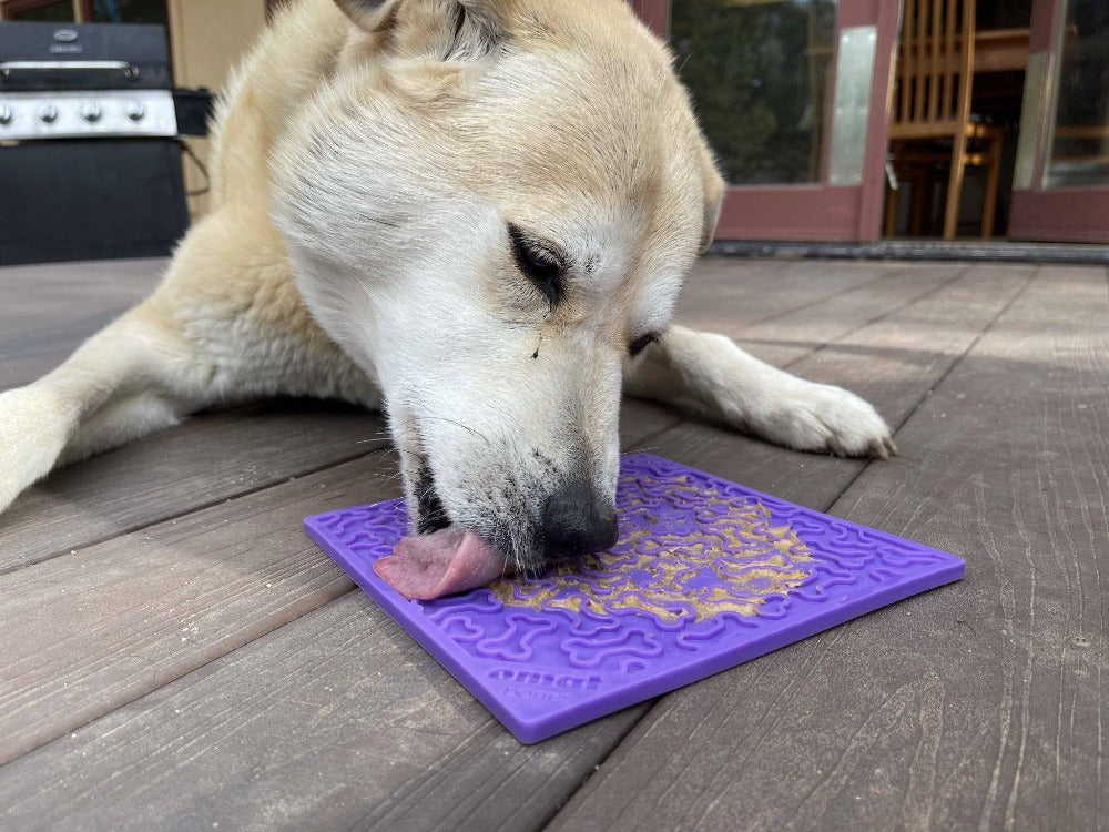 SodaPup Bones Lick Mat for Dogs & Cats