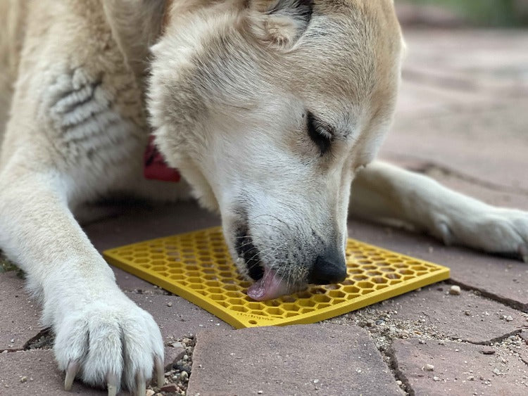 SodaPup Honeycomb Lick Mat for Dogs & Cats